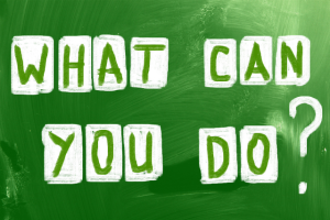 From degree to destiny: What you can truly do with a business degree in the real world